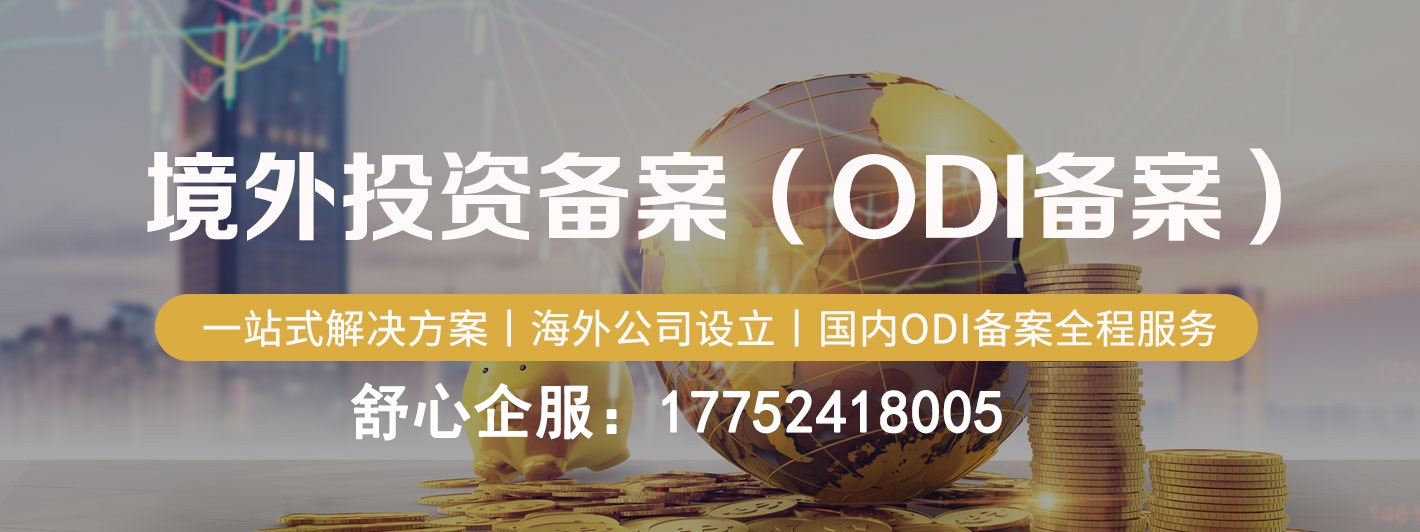 辦理ODI備案所需要的最新經審計的投資主體財務報表